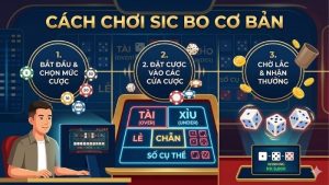 cach-choi-sic-bo-co-ban